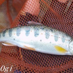 梅雨時の渇水は厳しい