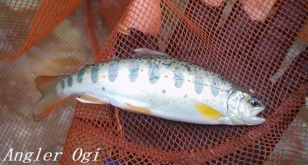 梅雨時の渇水は厳しい