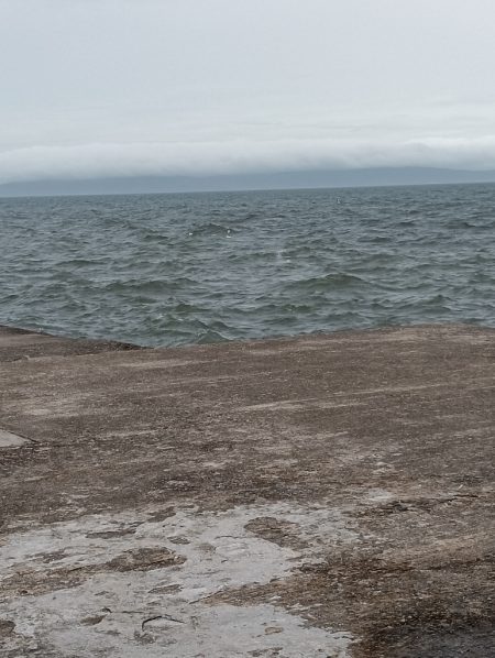 雨上がりの強行釣り日誌