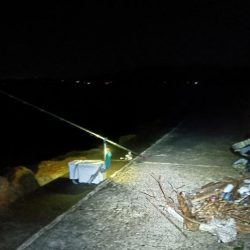 苅屋海岸のキス釣り