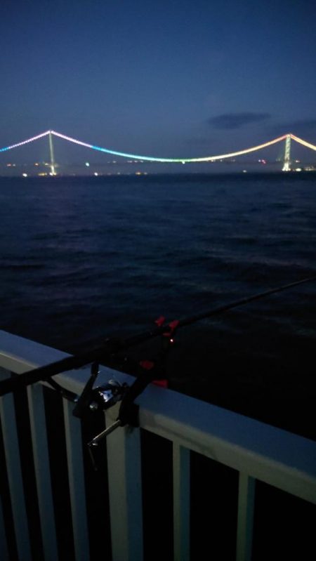 梅雨メバル調査3