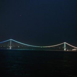 梅雨メバル調査4