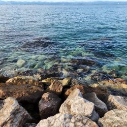 久しぶりの遠征