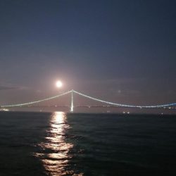 梅雨明けメバル調査