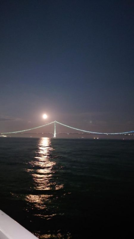 梅雨明けメバル調査