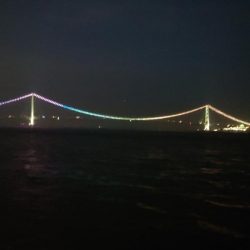 梅雨明けメバル調査2