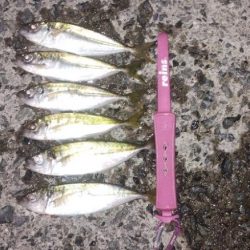 ジグサビキで3目