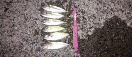 ジグサビキで3目