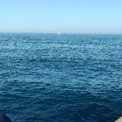 ライトショアジギング