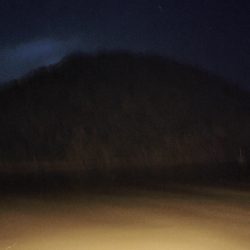 今日も頑張ります