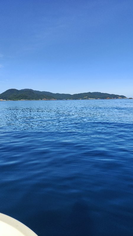 ロックフィッシュ