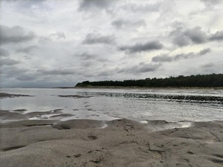 ヒラメ、マゴチ、シーバス釣れました!
