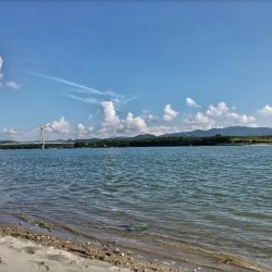 ヒラフッコとソゲとマゴチ釣れました。