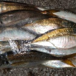 リベンジアジング