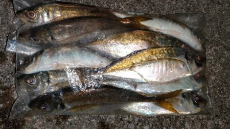 リベンジアジング