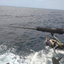 荒れ後の越前海岸