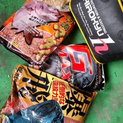 和歌山市江（吉丸渡船）でグレ釣り