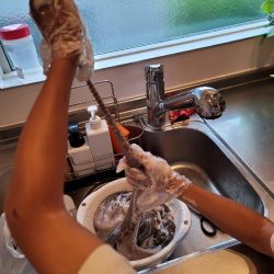 二キロアップのエイリアン