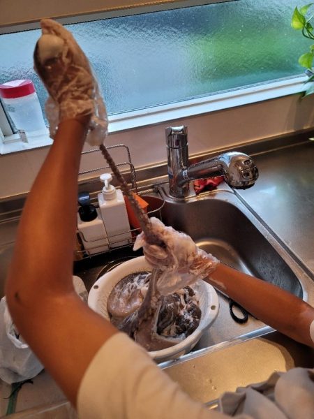 二キロアップのエイリアン