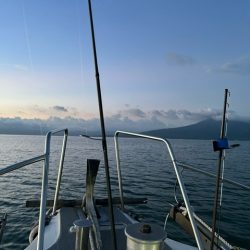 今年も行ってきました、鹿児島錦江湾のテンヤマダイ