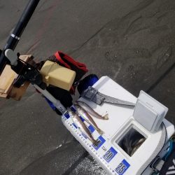 久し振りの投稿