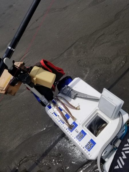 久し振りの投稿