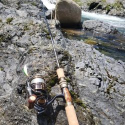 暑いしバラすし今日は駄目です