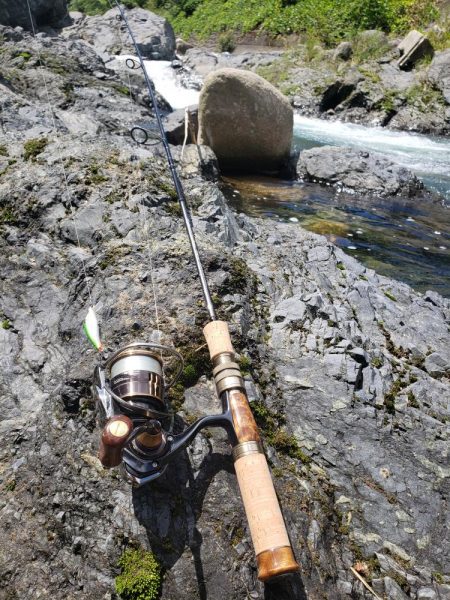暑いしバラすし今日は駄目です