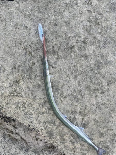 大分川　河口で灼熱のデイゲーム