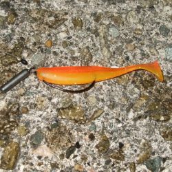 今シーズンベスト