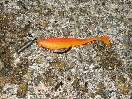 今シーズンベスト