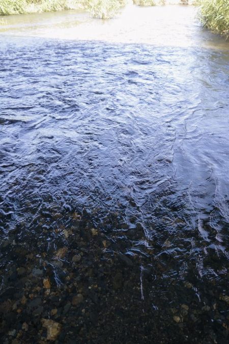 今年初のケタバス釣行