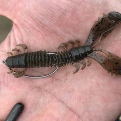 シャローフラットでチニング