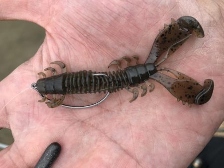 シャローフラットでチニング