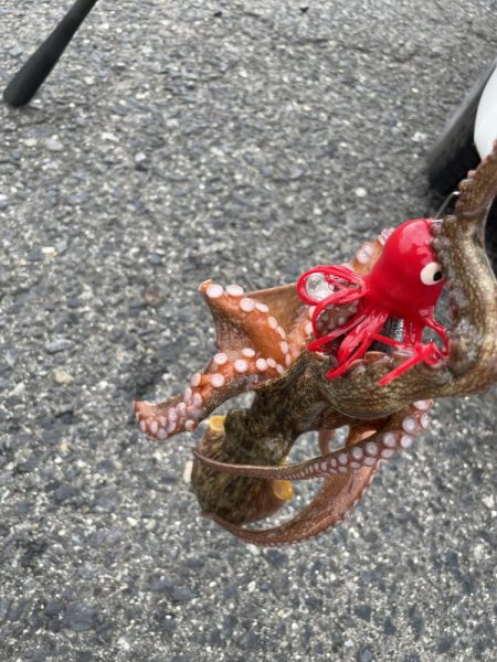 タコ　ランガン