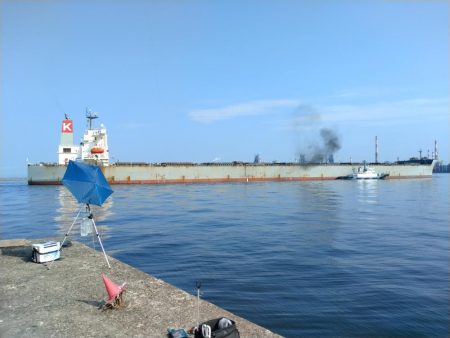 播磨新島のキス情報