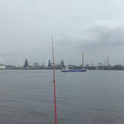 播磨新島のキス釣査