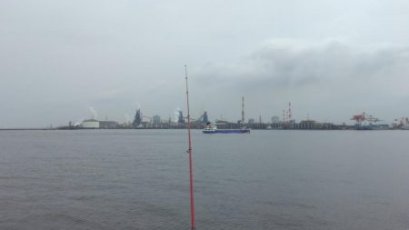 播磨新島のキス釣査