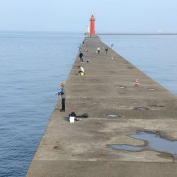 播磨新島釣行１８