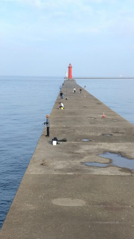 播磨新島釣行１８