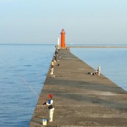 播磨新島釣行２０