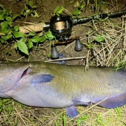 週末の増減水で