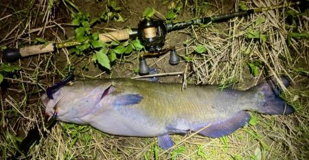 週末の増減水で