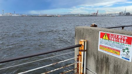 魚種は豊富だが型が小さい。ライトゲームは楽しめる