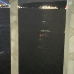 雨上がりの大サバ 爆釣