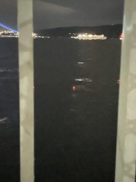 雨上がりの大サバ 爆釣