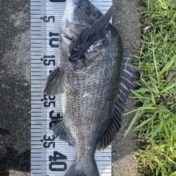 イチノ兄弟、釣果!