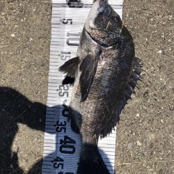 イチノ兄弟、釣果!