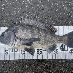 イチノ兄弟、釣果！