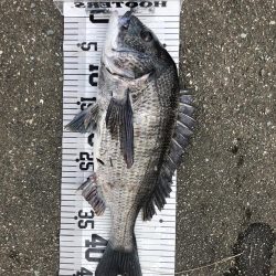 イチノ兄弟、釣果!